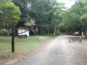 暑くなりそう