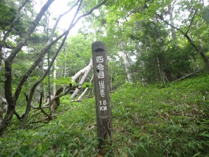 坂がきつくなる