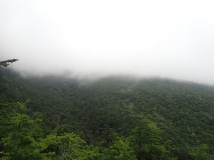 むむむ