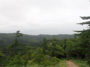 だいぶ登った