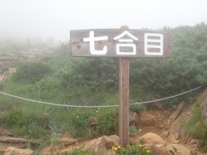 雲の中