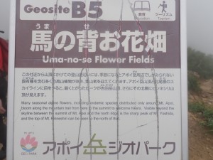今日のゴール