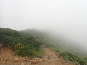 さあ降りよう