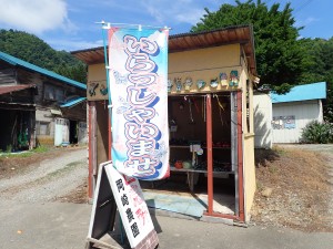 ナスビを購入