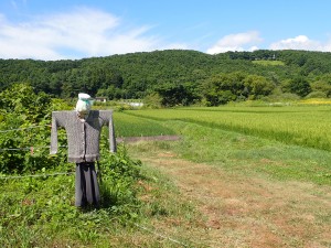 立派に育て