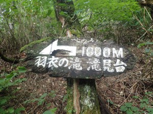 まだまだ