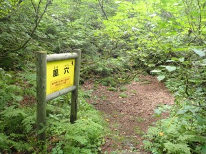 どんどん登る