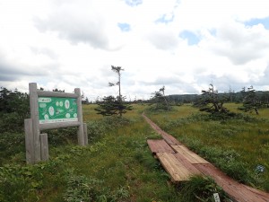 しかし、急いで下山