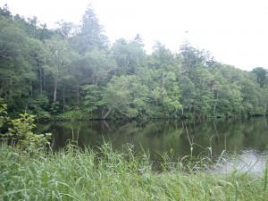 静か