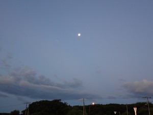 月が出ている