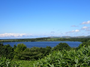 いい景色