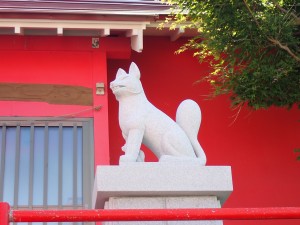 白い