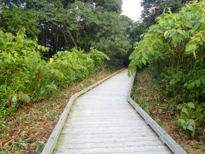 暑いよう