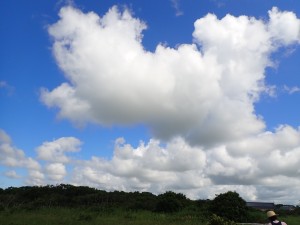 わーい