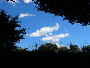 夏