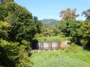 いい天気