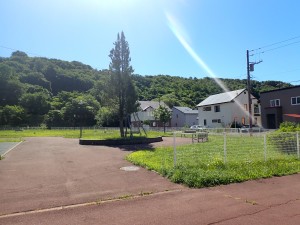 名は知らぬ 新しい公園