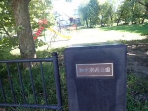 大人が1人