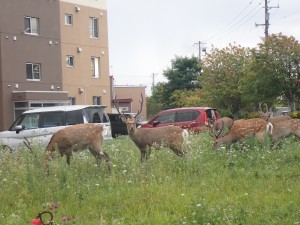 びっくり