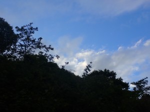 中島へと歩く