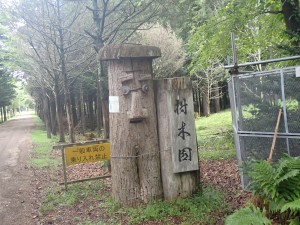 樹木園