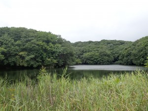 静かだ