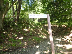 沢山の人が登る