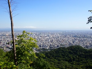 いい景色にほっこり