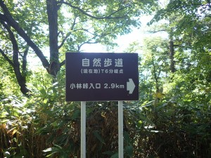 花が多いらしい
