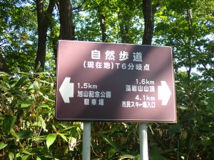 あと半分