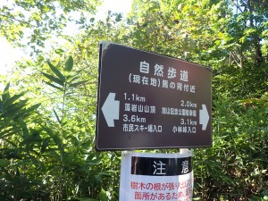 混み始めた