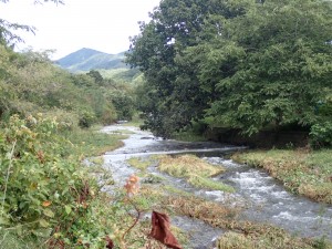 また登ろうか