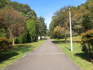 坂を登る