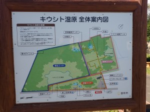 たまに散策の人
