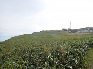 汗が流れる