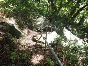 人はいない山道