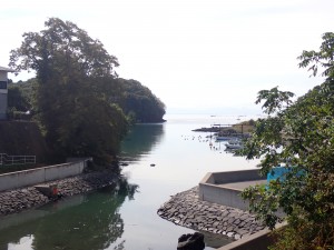 やはりいい景色