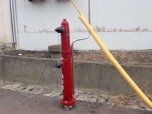 豪雪のためかな