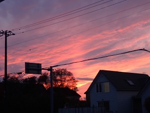 とてもきれいだった