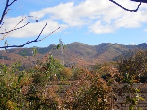 また来年登ろう