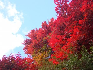 楽しい1日だった