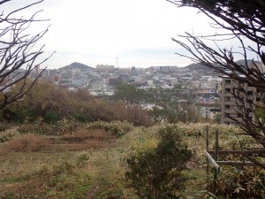 晴れたらいいね