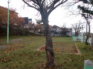 小さいながらも いい公園