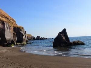 来てみるもんだ