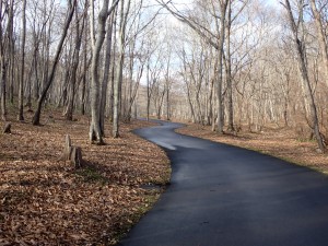 散歩の人にこんにちは