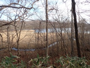 秋は良く見える