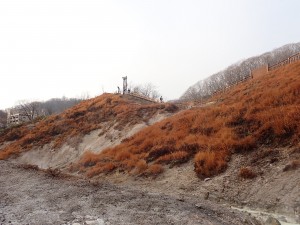 枯れた色がいい