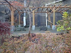 手入れされている