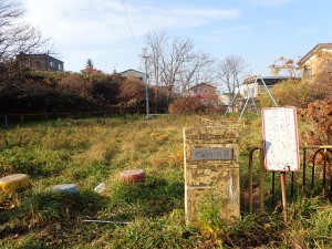 草が伸びている