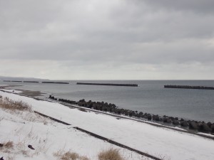 荒れてはいなかった